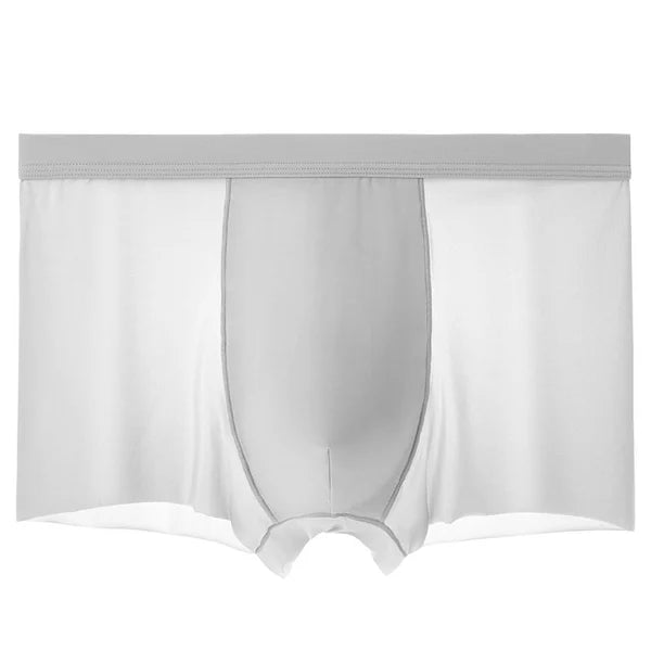 Men's Ice Silk Breathable Underwear (50% OFF)