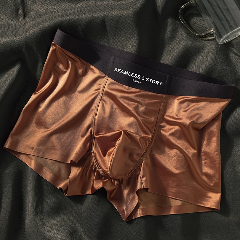 🎉2025 New Arrival 50% OFF🔥Men's Satin Ice Silk Briefs