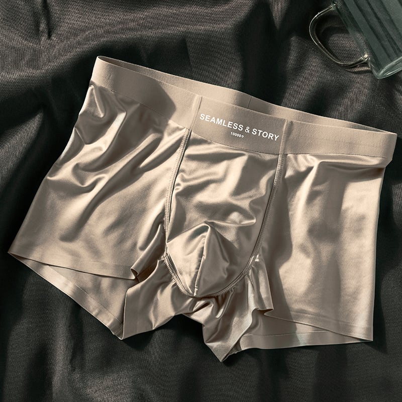 🎉2025 New Arrival 50% OFF🔥Men's Satin Ice Silk Briefs