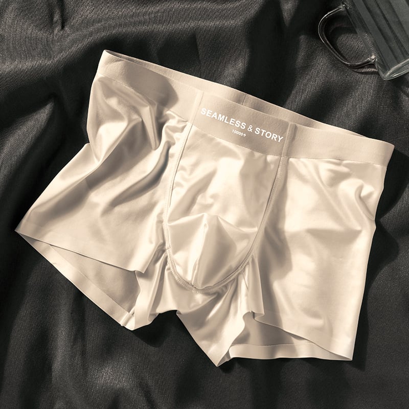 🎉2025 New Arrival 50% OFF🔥Men's Satin Ice Silk Briefs