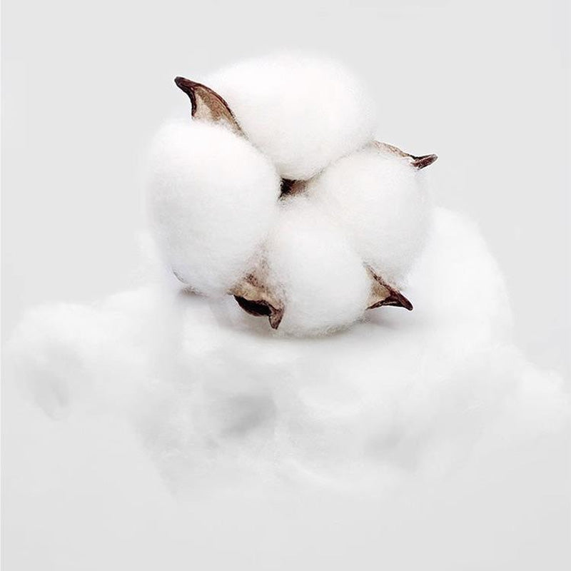 Men's Casual Long Sleeve Sweatsuit